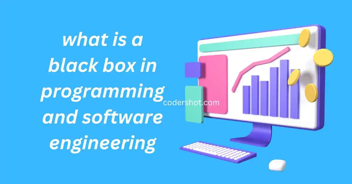 what is black box in programming and software engineering