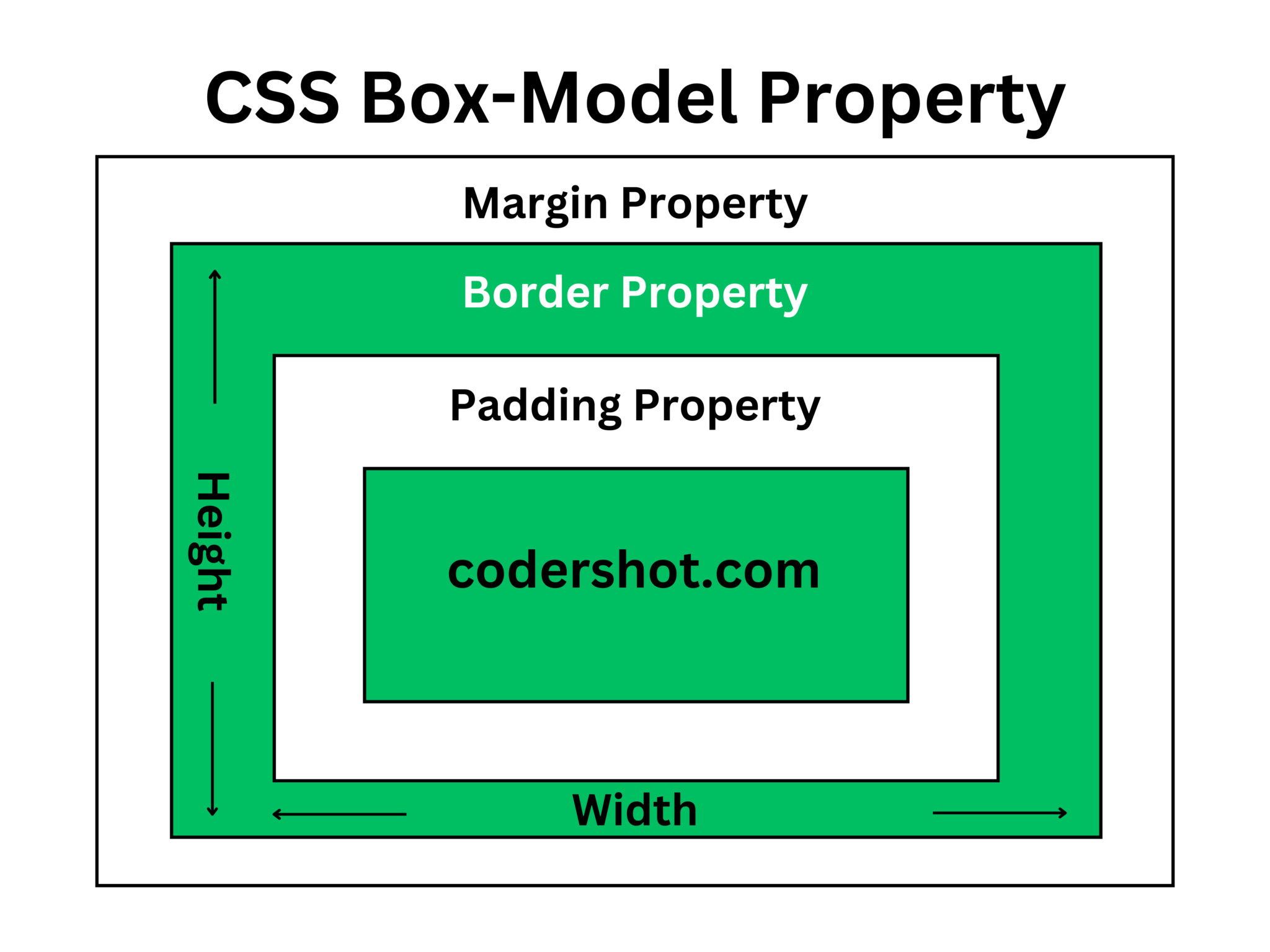 CSS Box Model